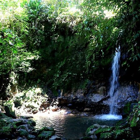 Misahualli Amazon Lodge Tena Zewnętrze zdjęcie
