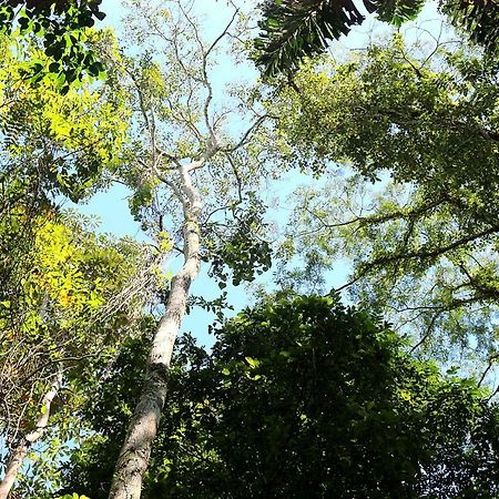 Misahualli Amazon Lodge Tena Zewnętrze zdjęcie