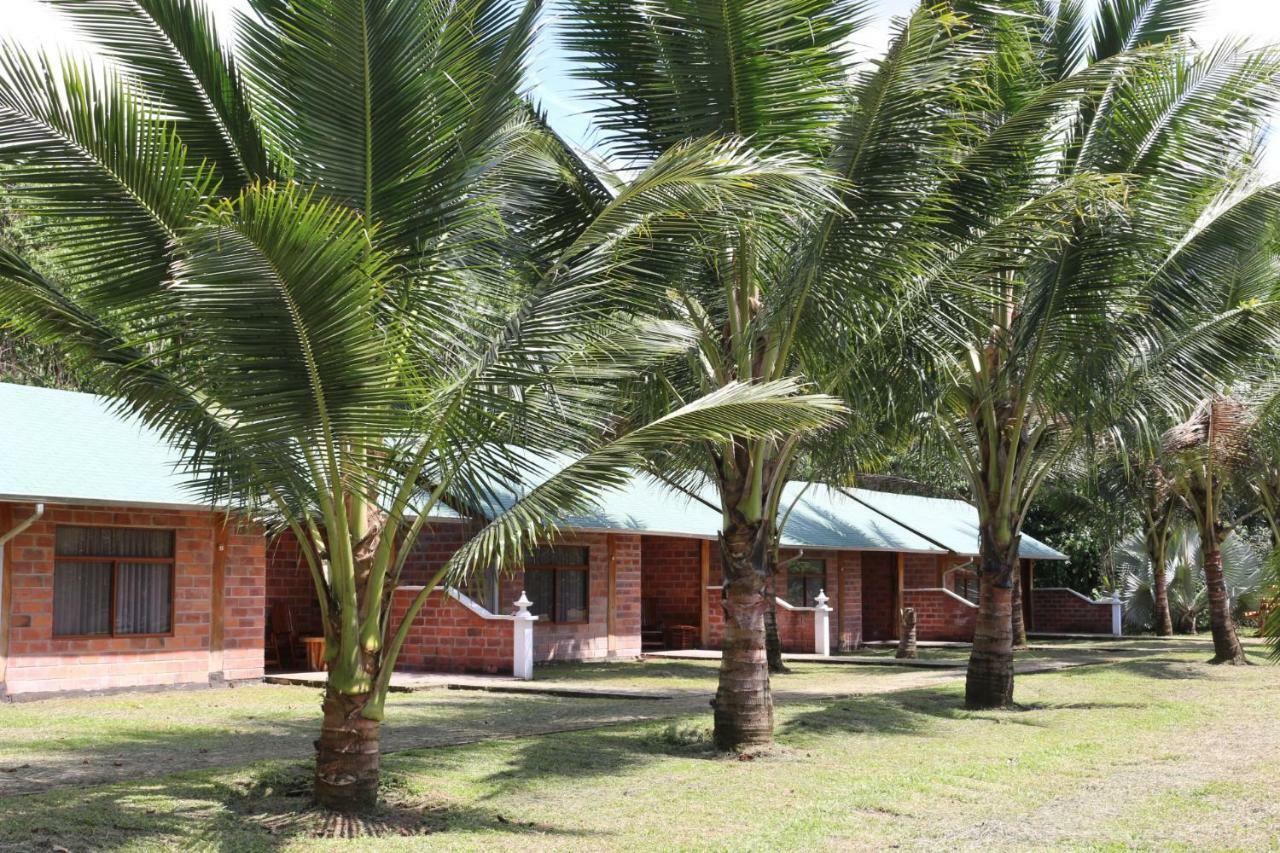 Misahualli Amazon Lodge Tena Zewnętrze zdjęcie