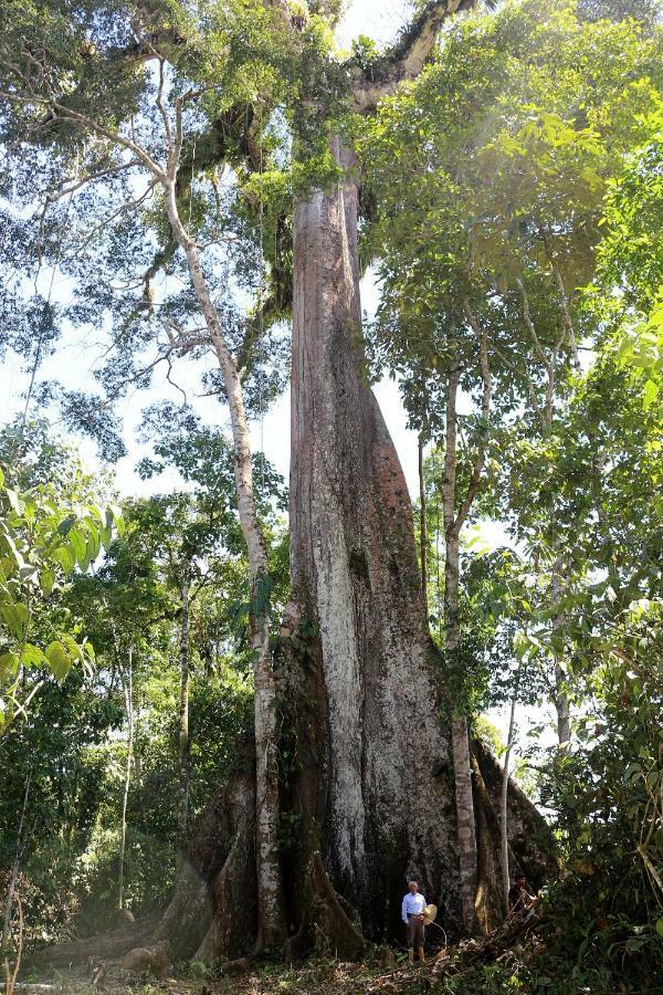 Misahualli Amazon Lodge Tena Zewnętrze zdjęcie