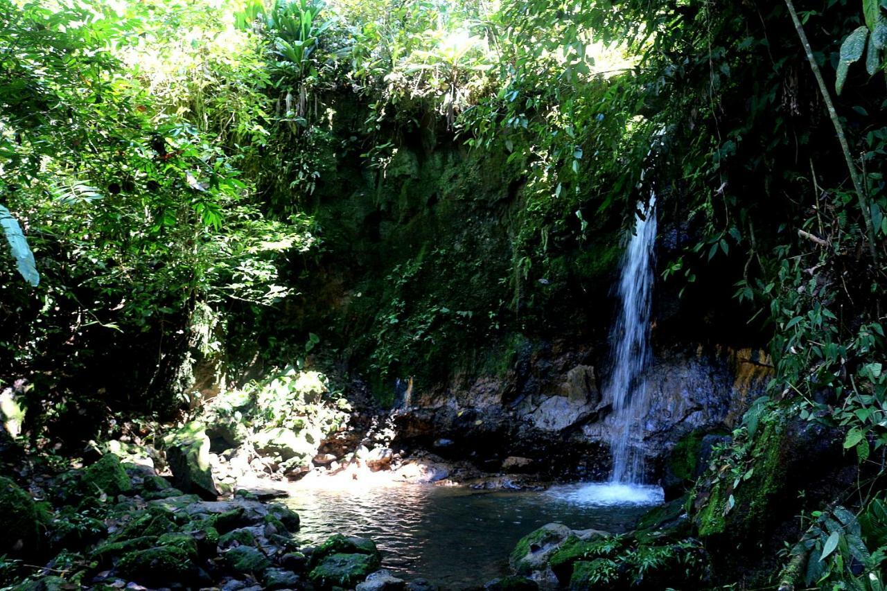 Misahualli Amazon Lodge Tena Zewnętrze zdjęcie