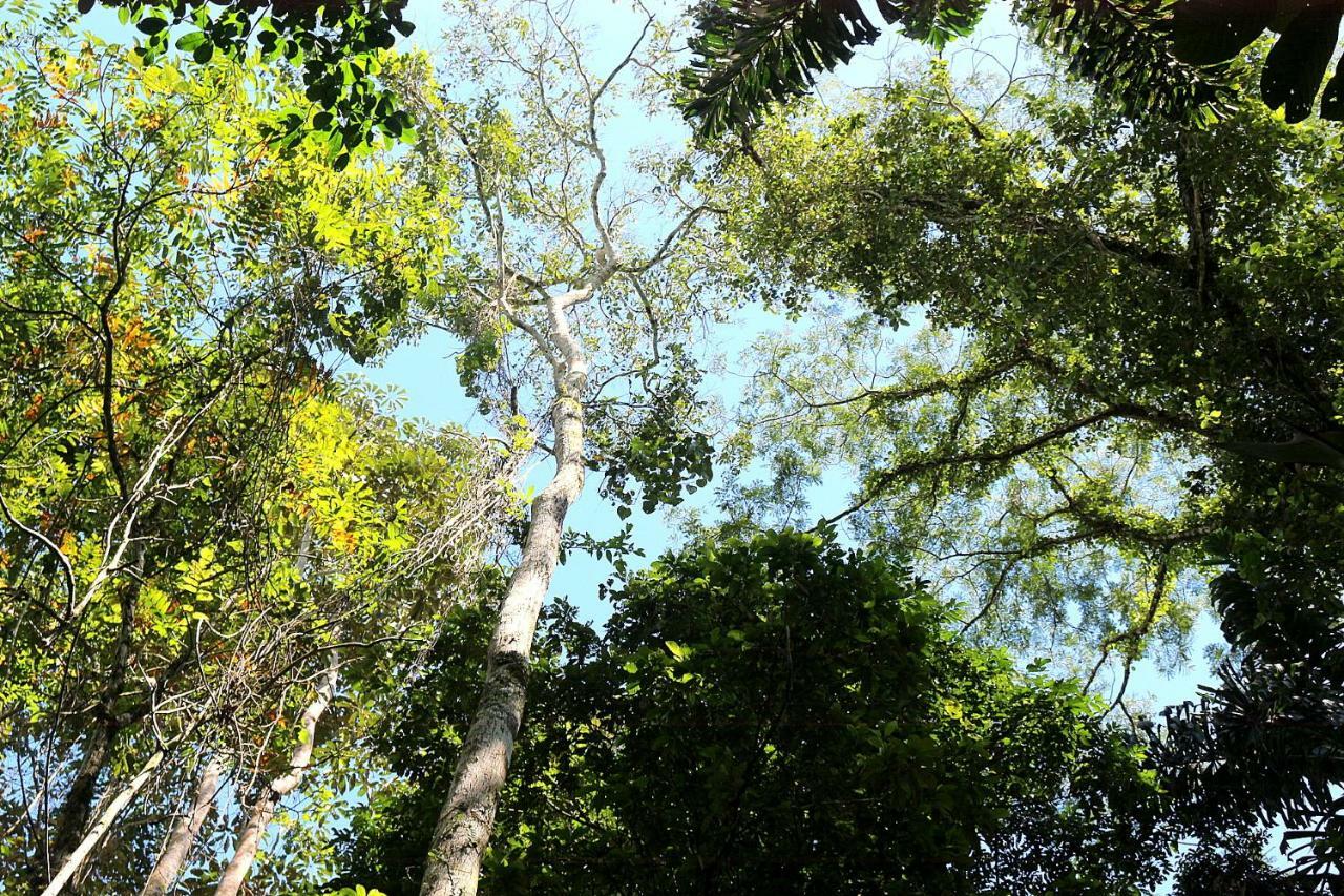 Misahualli Amazon Lodge Tena Zewnętrze zdjęcie